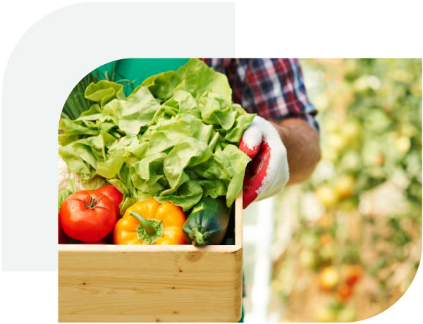Caja de verduras