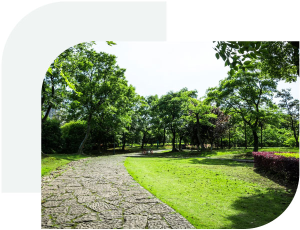 Jardín