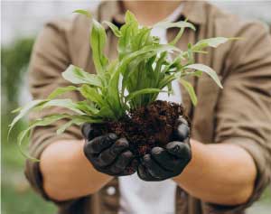 Hombre con planta
